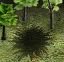 sol-souill--1be0020.jpg