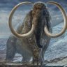 Mammoth